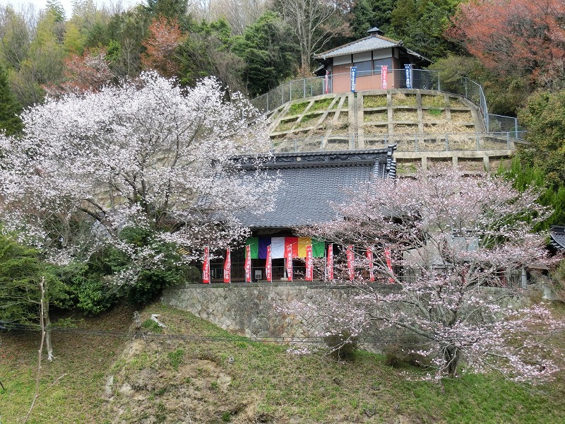 金剛院永代供養墓「阿字のふる里」全景